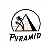 Gitar Aksesuar Elektro Tel Pyramid 0.09 401100 - 2