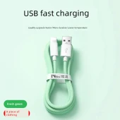 2m USB Sertifikalı Taze Yeşil Hızlı Şarj Örgü Kablo - 1