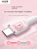 Hızlı Şarj Veri Kablosu - 1m Uzak Dağ Mavisi - iPhone 15 - 4