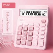 Bilimsel Hesap Makinesi - Gerçek Kişi Ses Pembe - 1