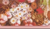 Gouache Akrilik Yağlı Boya Fırça Seti - Van Gogh Kinoa + Araçlar 26 Parça Set - 11