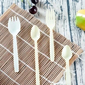 Şeffaf Plastik Pipet Kaşık Çatal Seti - Enjeksiyon Kupası 500ml + Kapak 100 Set - 7