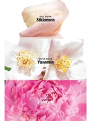 Avon Celebre Kadın Parfüm Seti Özel Kutulu Edt 50ML Parfüm + 30 ml El Kremi - 3