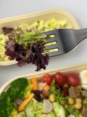 Tek Kullanımlık Plastik Salata Çatalı - Ayrı Ambalaj - 100 Adet - 4