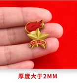 Genç Kaşifler Takım Logosu Rozeti - Kırmızı Şal Madalyası - 40 Adet/Standart Özellik (Pin) - 11