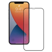 iPhone 12 Pro Max Ekran Koruyucu 20D Temperli Ekstra Cam Siyah - 1