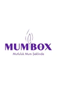 Istiridye 4 Lü Şık Dekoratif Mum - 2