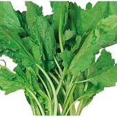 Izmir Tere Tohumu 10 gr 1 Adet - 1