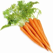 Havuç Tohumu 10 gr 1 Adet - 1