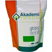 Akademi Tohum 4 Karışım Çim Tohumu 1 kg - 1