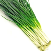 Yeşil Soğan Tohumu 10GR - 1