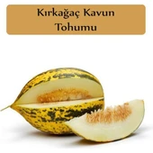 Kırkağaç Kavun 10 gr 1 Adet - 1