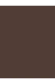 FLORMAR Kaş Maskarası Ve Kaş Farı - Tinted Brow Gel 003 Brown 32000138-003 - 3