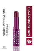 FLORMAR Shea Ve Kakao Yağı Içeren Renkli Dudak Nemlendiricisi (KARADUT) - Lip Balm - 002 - 8690604555376 - 1