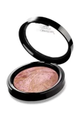 GOLDEN ROSE Terracotta Stardust No:102 - 1