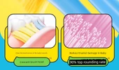 Küçük Ahtapot/Şeker Hazine Moth-İspirasyon Tozu Diş Fırçası Başlığı - 8 Paket - 12