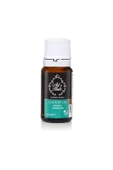 ART DE HUİLE By Hülya Kayhan Hint Yağı 10 ml - 1