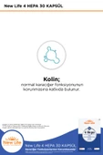 NEW LİFE 4 Hepa 30 Yumuşak Kapsül - Silibin Fosfolipid - Kolin - Enginar Yaprağı ve Karahindiba Kök Ekstresi thumbnail 4