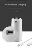 Elektrikli Su Pompası - Zamanlı Ölçüm (tek) - 0.8/1.6L çıkış - 12