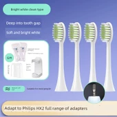 Teetips Diş Fırçası Başlığı - Parlak Beyaz Temiz - 4 Paket - 1
