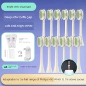 Teetips Diş Fırçası Başlığı - Rees Beyaz - 12 Paket thumbnail 1