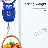 Dijital Asma Bagaj Tartısı - Mavi Ekran - Gece Görüşü - Şarjlı - Koruyucu Kılıf ile 50kg - 4