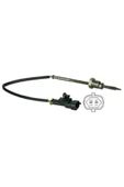 Delphi TS30032 EGSOZ SICAKLIK SENSÖRU BMW 1(E87)5 (E60)ANTARA 10- - 1