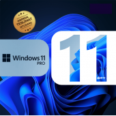 Windows 11 Pro Lisans Key - 1