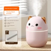 USB Hava Nemlendirici 250ml - Genç Yetişkin Pudra Yükseltme - 1
