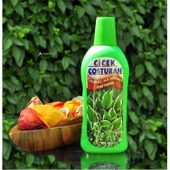 Çiçek Coşturan Çiçeksiz Süs Bitkileri İçin - 3