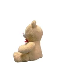 35 CM PATİLEN KALPLİ AYI -HLY - 2