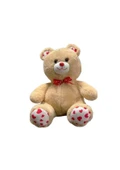 35 CM PATİLEN KALPLİ AYI -HLY - 1