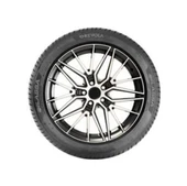 Lassa 205/55R16 91V Revola Yaz Lastiği 2025 thumbnail 2