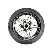 Lassa 205/55R16 91V Revola Yaz Lastiği 2024 thumbnail 2