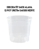 Siyah Orkide Saksısı Dekoratif Dış Saksı 1 Adet- 12 Pot Şeffaf Orkide Üretim Saksısı Hediyeli - 5