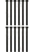 Victor Reinz 14 -32190-1 Silindir Kapak Saplaması Civatası Transporter T5 2.5 Tdı Axd Axe - 1