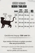 Kedi kaçış önleyici tasma ve küçük ırk köpekler için yürüyüş tasması. - 3