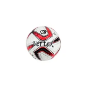 Vertex Dikişli 4 No Futsal Topu - 2