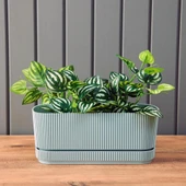 Omnipazar KRS-246 Pera Uzun Dekoratif Balkon Saksı 3 Litre No 2 thumbnail 2