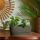 Omnipazar KRS-246 Pera Uzun Dekoratif Balkon Saksı 3 Litre No 2 thumbnail 8