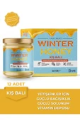 WINTER HONEY Kış Balı 40 Gr. Yetişkinler Için (12'Lİ) - 1