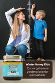 WINTER HONEY Boy Uzatıcı-vitamin C--arı Sütü-bal-polen-Kakaolu winter honey 240 Gr 5 ADET - 5