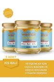 WINTER HONEY Meyan Köklü-akciğer Detoxu Çam Kozalaklı Kış Balı 40 Gr. Yetişkinler Için ( 3 'adet ) - 1