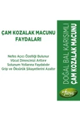 Dr. Floya Natural Çam Kozalak Macunu Kara Mürver Karışımlı 340 Ml. - 4