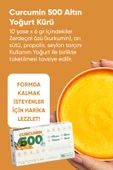 Curcumin 500 Zayıflatıcı Yağ Detox- Takviye Edici Gıda (4 Kutu 20 Şase) - 3