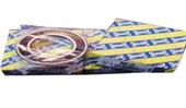SNR 6007EE Şanzıman Rulmanı Aks Orta Rulmanı Megane II Master - 1