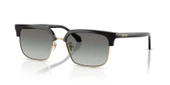 Versace VE4494D GB1/11 56 Erkek Güneş Gözlüğü - 1