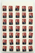 Kruvazör Ataturk Yaka Rozeti ( 35'li) - 2
