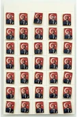 Kruvazör Ataturk Yaka Rozeti ( 35'li) - 3