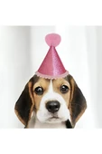 Süpertrend Mini Party Hat - 1